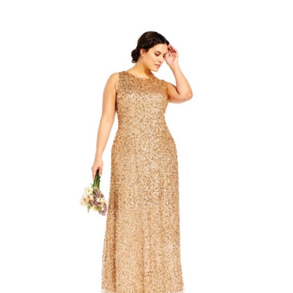 New long dress by Adrianna Papell 24W